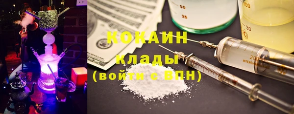 дживик Абаза