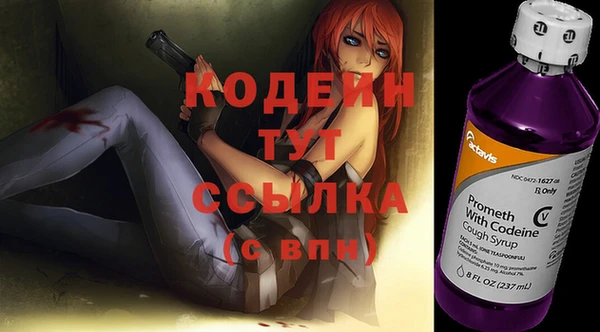 дживик Абаза