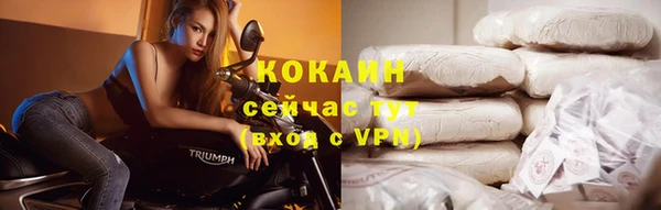 винт Галич