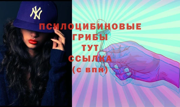spice Абдулино